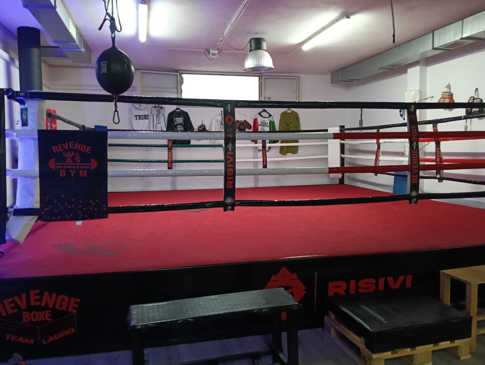 Ring Revenge Boxing