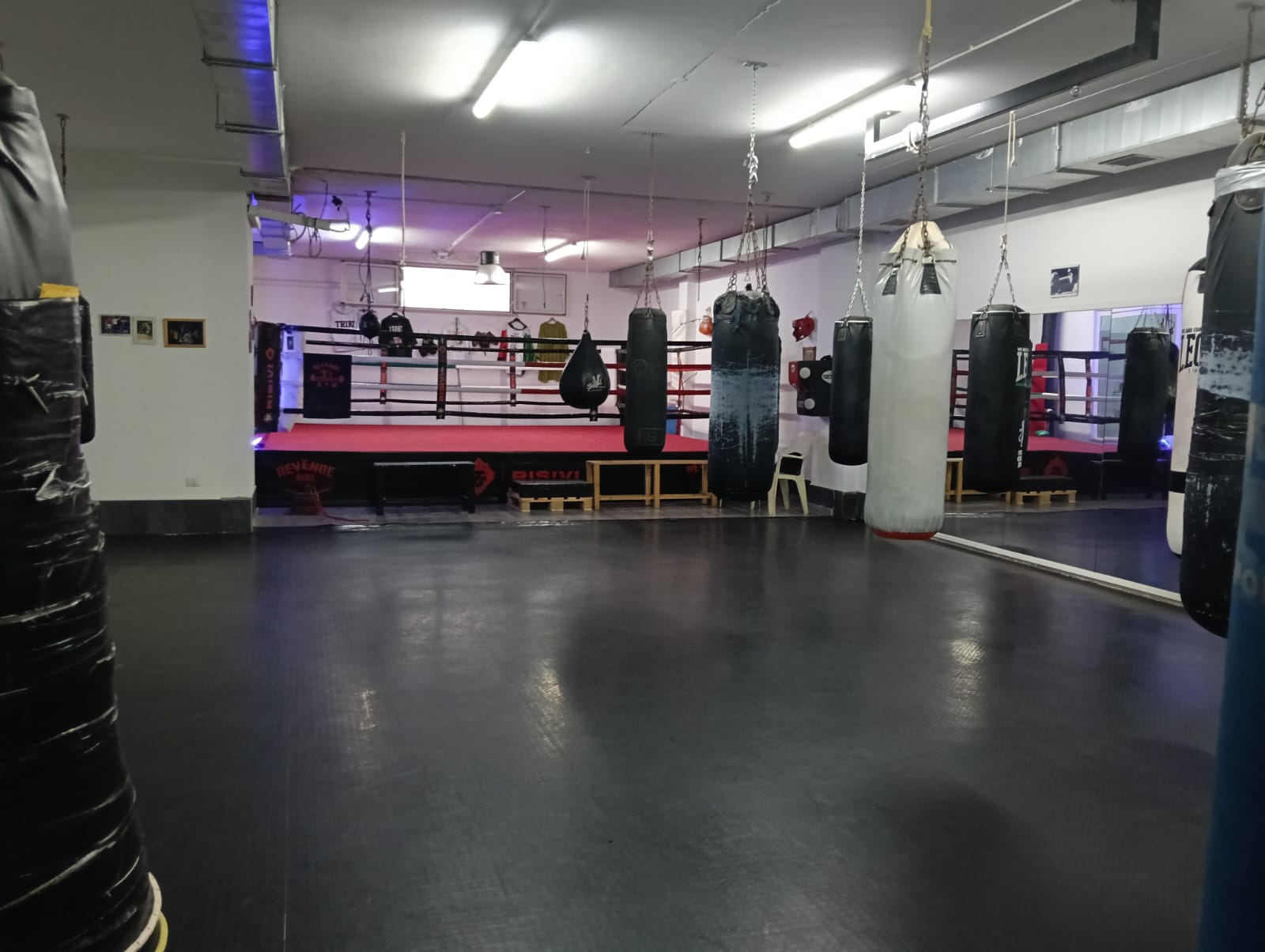 Sala boxe di Revenge Gym con ring e sacchi