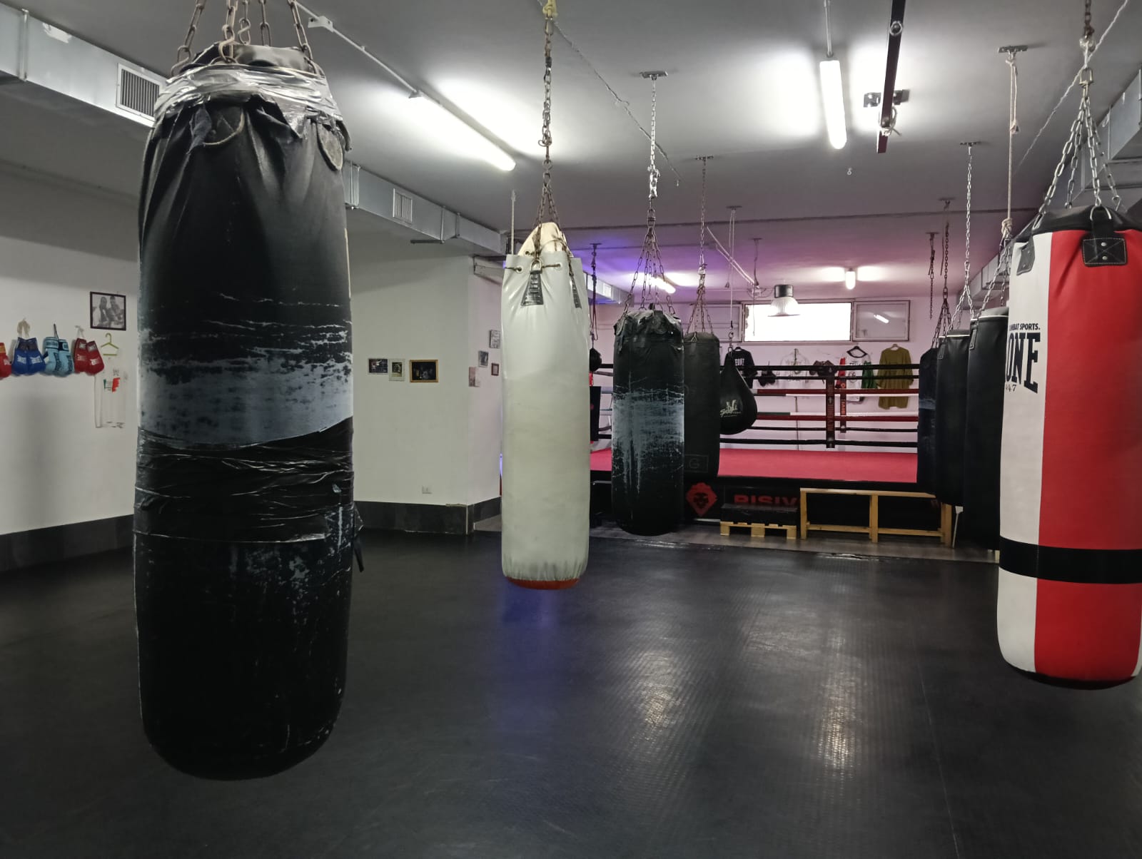 Sacchi dell’area boxe di Revenge Gym